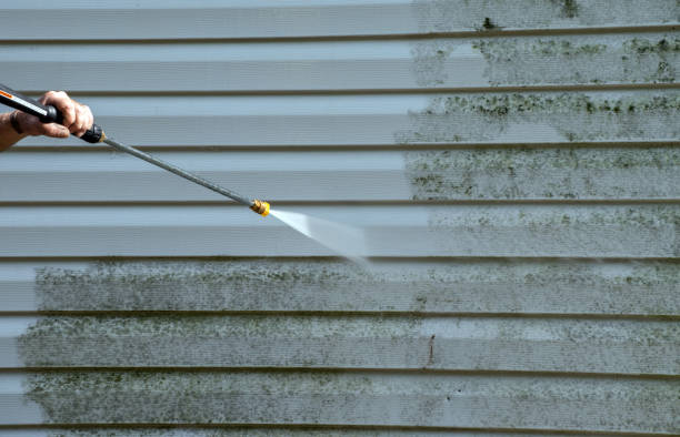 Boat and Dock Cleaning in Olivet, MI